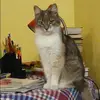 Отзыв от Аня Карасева
